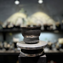 Load image into Gallery viewer, Ryuhoou Plantpot - Gousha Small G