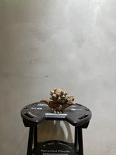 Load image into Gallery viewer, 也陶 YEI TAO - 龜甲暴龍陶鈴