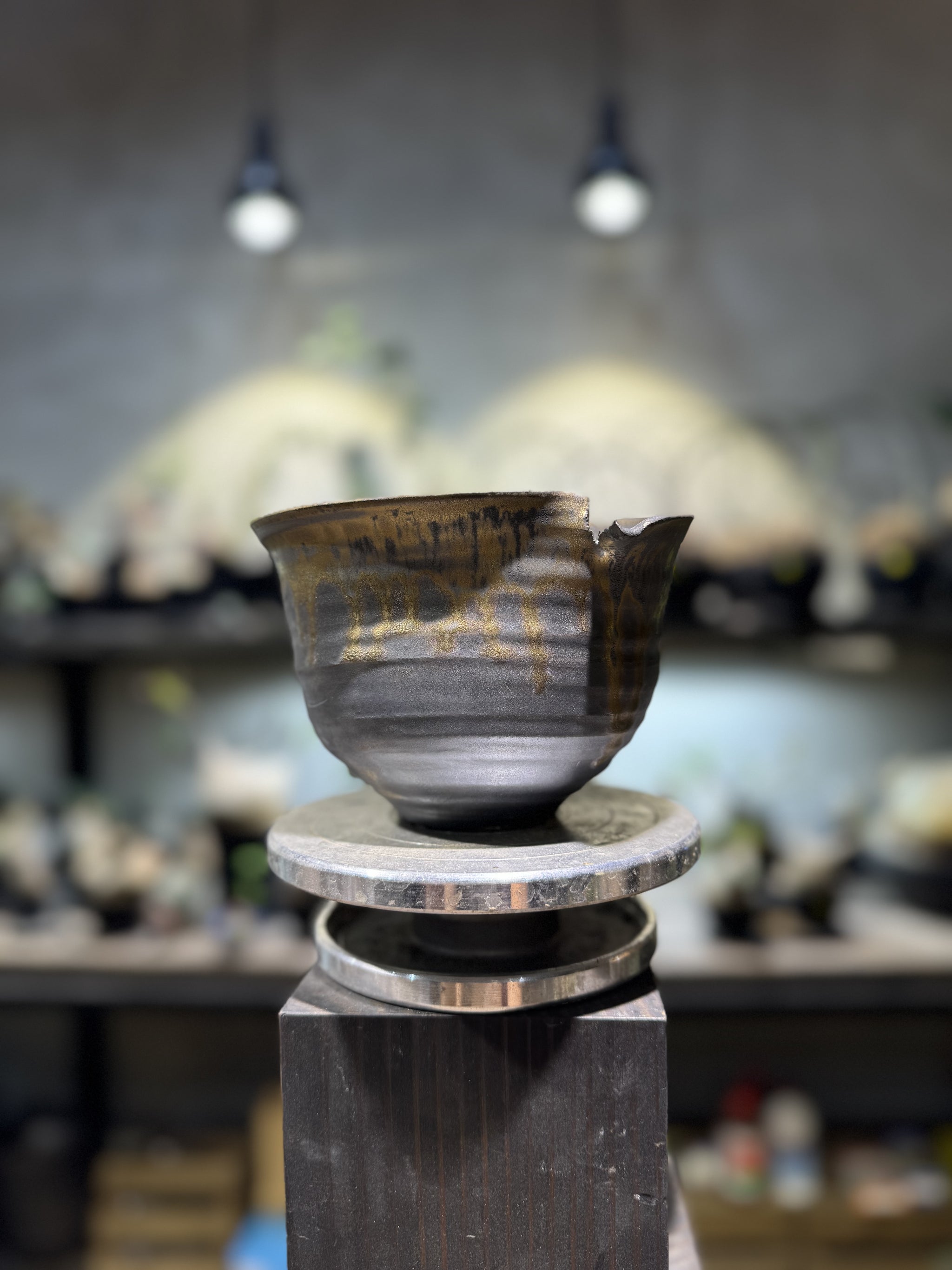 大貫弘由岐 陶器 鉢 guruguru グルグルGEO 植木鉢 作家鉢 y鉢