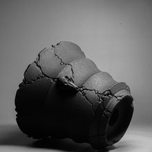 Load image into Gallery viewer, (LIMITED EDITION) Coyote 田口潤 x D.I.P. - Type B
