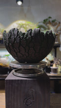Load and play video in Gallery viewer, Sekiguchi Takahito 関口貴仁 - Natural L
