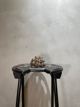 Load image into Gallery viewer, 也陶 YEI TAO - 鱷龜甲龍陶鈴(合眼)
