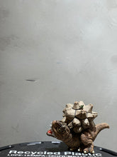 Load image into Gallery viewer, 也陶 YEI TAO - 龜甲暴龍陶鈴

