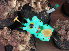 Load image into Gallery viewer, Mosquito Studio 象牙貓
