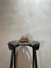 Load image into Gallery viewer, 也陶 YEI TAO - 鱷龜甲龍陶鈴(合眼)
