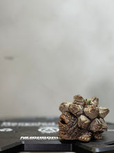 Load image into Gallery viewer, 也陶 YEI TAO - 鱷龜甲龍陶鈴(合眼)
