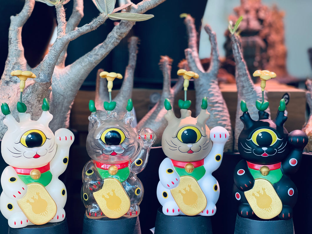 Mosquito Studio 象牙貓